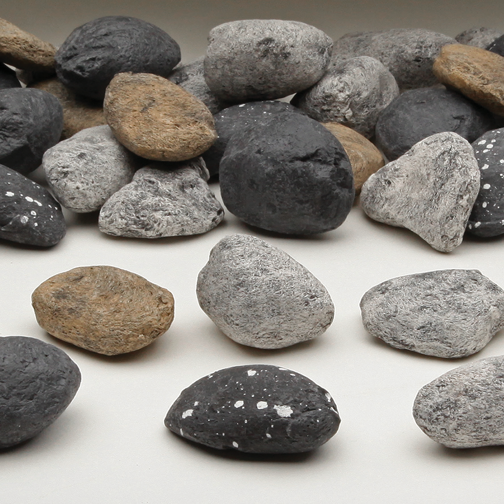 RR250SS