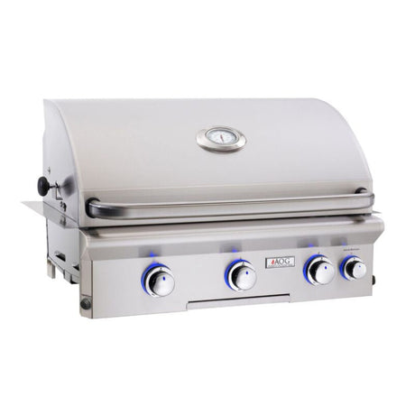 American Outdoor Grill Built-In Grills