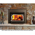 Iron Strike Striker C160 GL Wood-Burning Fireplace Insert
