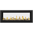 Napoleon Vector See-Through Series Direct Vent Linear Gas Fireplace