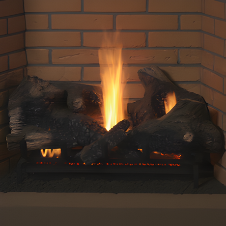 FDVS