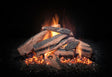 HD4240-LOGS-HF
