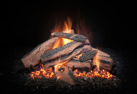 HD5030-LOGS-TBF