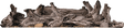 DL45